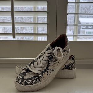 Steve madden Oleta sneakers